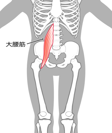 大腰筋