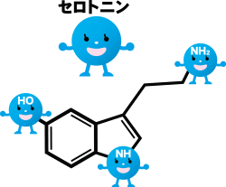 セロトニン